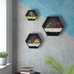 Hanging Hexagon Basket Hanging Wall Planters Metal Vase Retro Air Plant Holder Vintage Flower Pot Iron Geometric Planter Succulent Cactus Container for Wall Decor, Mixed Set of 3 (Black) - Image 4