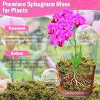 Riare 4.4LB Premium Sphagnum Moss for Plants- 80QT Natural Dried Plant Moss - Image 3