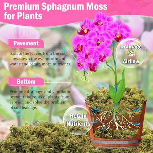 Riare 4.4LB Premium Sphagnum Moss for Plants- 80QT Natural Dried Plant Moss - Image 3