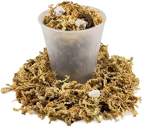 Gardenera Premium Pothos Potting Soil Mix - Air Cleaning Plant Potting Mix, Soil Mix for Pothos, Parlor Palm, Peace Lily - (1 Quart Bag) - Image 6