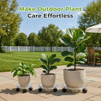 6 Packs 16 inches Extra-large Clear Plant Caddy Plant Saucers on Wheels Rolling Plant Stands Heavy-duty Plant Dolly Plastic Planter Roller Base Pot Movers Outdoor Plant Tray Coaster - Image 5