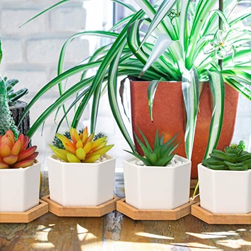 Gerrii Succulent Pots Mini White Ceramic Flower Planter Pot Succulent Planters with Wooden Trays and Drainage Holes for Plants Cactus Home Office Decoration, Plants Not Included(24 Pcs) - Image 5