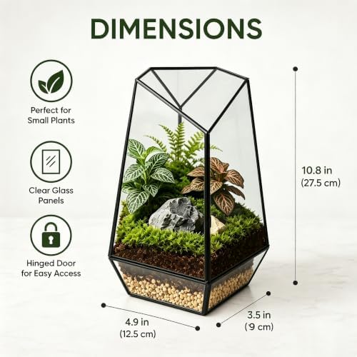 Ferrisland Glass Geometric Plant Terrarium, Clear Glass Succulent - Image 2