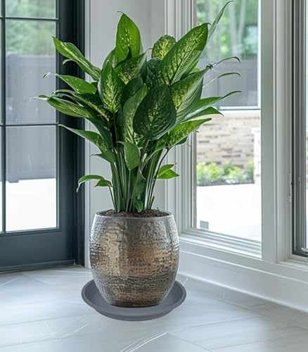 4 Pack of 16 inch Plant Saucer, Large Plant Tray, Heavy Sturdy Plant Drainage Tray for Indoors, Bird Bath Bowls, Sturdy Plastic Pot Tray for Planter 14 15 16"(Gray) - Image 3