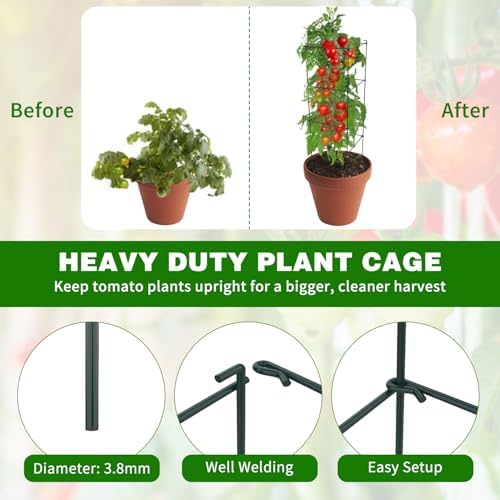 6 Packs Tomato Cages for Garden, 12"×12"×39" Plant Support Cage with Different Spacing, Green Metal Trellis for Climbing Plants Like Cucumber, Flowers - Image 4