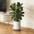 10 Inch Plant Pot with Caddy - Image 4
