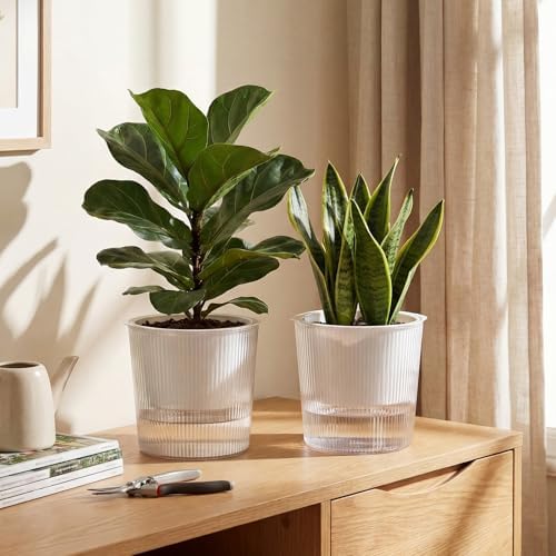 6 Pack Self Watering Pots for Indoor Plants Plastic Vertical Ribbed Semi Transparent Planters, Dual Layer Reservoir for Indoor Succulents Herbs Pothos(Clear, White,6.5 x 5.9 Inch) - Image 5