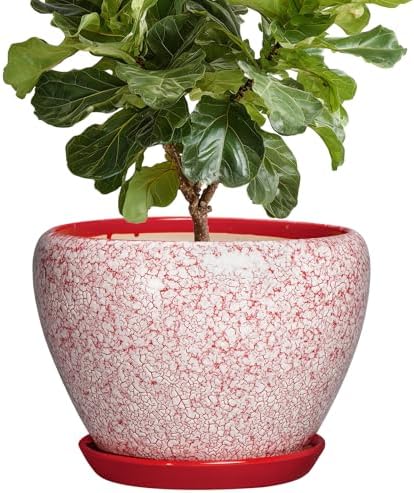 10 Inch Pots for Plants, Ceramic Planter Pots, Crackle Red by Thirtypot