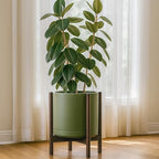 D'vine Dev Ceramic Pot with Walnut Wood Stand, Olive, 14 in, 55-B-T-J - Image 7