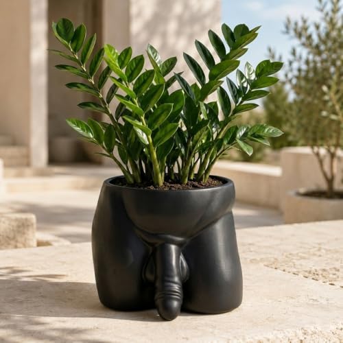 Penis Planter, Funny Plant Pots for Indoor Plants, Resin Male Body Planter Pot, Unique Succulent Pots & Cactus Pot with Drainage Hole, Naughty Gag Gift Penis Decor for Desk Bathroom，Black：Large by Lourich