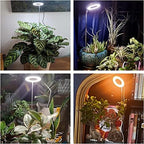 Aokrean Grow Lights for Indoor Plants, Full Spectrum Plant Light with Base - Image 2