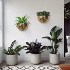 Allegorie Metal Wall Planter | Indoor or Outdoor Hanging Plant Pot | Farmhouse Decor & Boho Kitchen Decoration for Herbs & Succulents and Living wall 12x7 (Gold) - Image 2