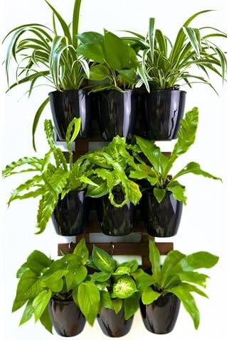 LaLaGreen Wall Planters for Indoor Plants (4in, 10 Pack) Small Planter - Image 4