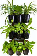 LaLaGreen Indoor Wall Planters (5in, 10 Pack) Self Watering Hanging Pots - Image 4