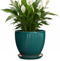 Ceramic Planter, 8 Inch Plant Pots with Saucer, Blackish Green by Unknown
