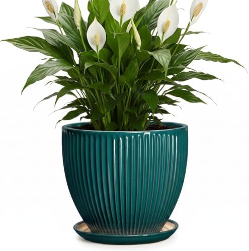 Ceramic Planter, 8 Inch Plant Pots with Saucer, Blackish Green by Unknown