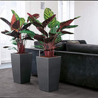Lechuza CUBICO 40 Shiny Taupe High Gloss, Self-Watering Tall Planter, H29.5 L15.7 W15.7 in - Image 5