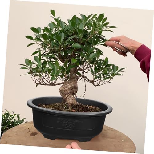 2PCS Bonsai Training Pot, 15 inch Plastic Bonsai Pot with Drainage Tray, Oval Planter for Desktop Decoration Nursery, Garden, Balcony - Image 5