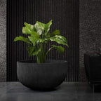 Roco Extra Large Fiberglass Bowl Planter, Round Indoor/Outdoor - Image 2