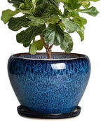 10 Inch Plant Pot, Ceramic Planter with Drainage and Saucer, Blue by Thirtypot
