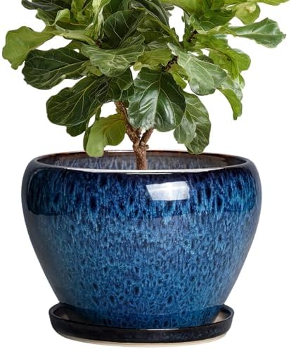 10 Inch Plant Pot, Ceramic Planter with Drainage and Saucer, Blue by Thirtypot