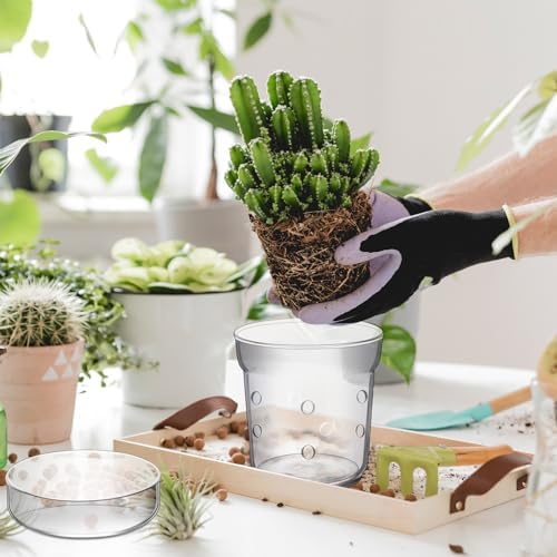 Baderke 1 Piece Orchid Pot with Drainage Holes and Tray Transparent Glass Pot Planter for Orchids Flower Repotting Anti Slip Glass Plant Vase for Indoor Outdoor Home Decor(4 Inch) (Pack of 2) - Image 5