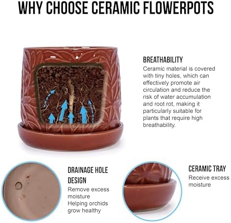 Handmade Ceramic Flower Pot with Leaf Pattern, 6 8 Inch Diameter, Rust Red Color for Orchids, Indoor,Outdoor Use on Windowsills Bookshelves, Breathable Clay with Saucer - Image 6