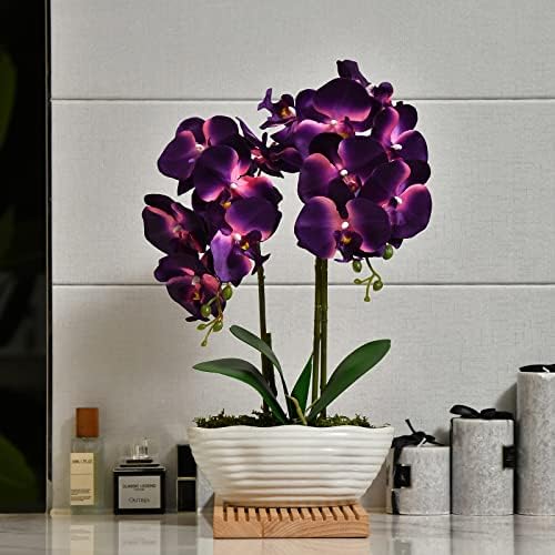 Large Artificial Orchid Arrangement in Oval Ribbed Ceramic Pot, Dark Purple - Image 6