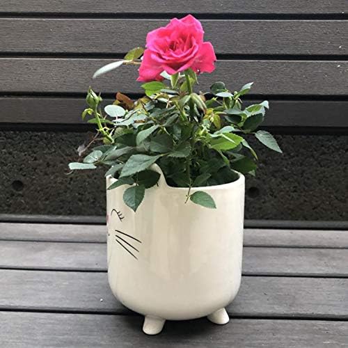 Planter for Succulent Plant Ceramic Plant Pots Indoor, Novelty Planters for Home Office Garden (White Cat Large, 1) - Image 5
