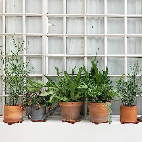 Panelee 6 Pcs Plant Pot Stand Riser 12 inch Plastic Under Plant Stand Adjustable Cuttable Prevent Water Damage for Outdoor Indoor Pot Holder Garden Patio(Brown) (Pack of 2) - Image 5