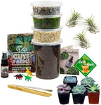 Cute Farms Terrarium Starter Kit | Moss, Vermiculite, Soil, Pebbles, Plant Food, & Finishing Tools (Large + 8 Live Plants) - Image 3