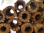 3-48 Inch All Natural Teddy Bear Cholla Wood Extra Hollow Large Untreated Organic Aquarium Driftwood Decoration Chew Toy Shrimp Crab Cichlid Nano Tank Birds 1 or 5 Pieces (1 Piece, 30 inch) - Image 2