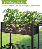 Raised Garden Bed with Legs Outdoor Elevated Planter Box with Wheel - Image 3