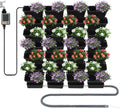 56 Pockets Living Wall Planter, Self Watering Wall Planter, Wall Mounted Planters, for Indoor Outdoor Balcony, Grow Herbs Vegetables Flowers by Unknown