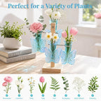 Nacome Plant Terrarium Propagation Stations: Blue Vase with Wooden Stand - Image 3