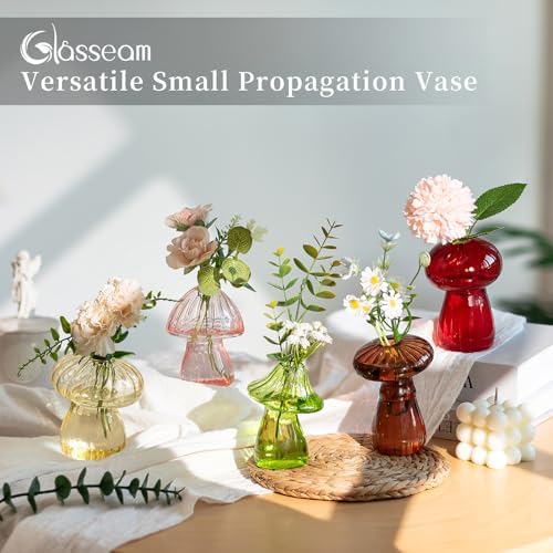 Glasseam Mushroom Plant Propagation Station, Set of 5 Glass Terrarium Jars - Image 3