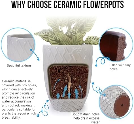 Artisan Crafted Ceramic Plant Pot Patio Garden Planter Drainage Hole Thick Clay Vessel Breathable Heavy Holder Sculptural Container Herbs Succulents Citrus Tree Balcony Decorative Accent (White) - Image 4