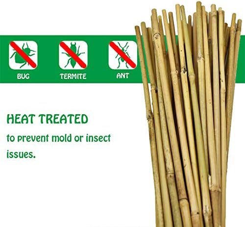 Mininfa Natural Bamboo Stakes 57 Inch (Approx 5 FEET), Eco-Friendly Garden Stakes, Plant Stakes Supports Climbing for Tomatoes, Trees, Beans, 20 Pack - Image 4