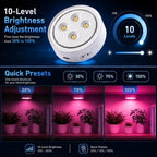3 Pack Rechargeable Grow Light for Indoor Plants, Magnetic Plant Lights - Image 5