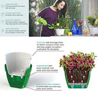 Santino ASTI 9.2 Inch Self Watering Planter Green-Gold/White (Set of 3) for Indoor Plants - Premium Quality Modern Plastic Pot w/Water Level Indicator for All House Plants African Violets and Dahlias - Image 6