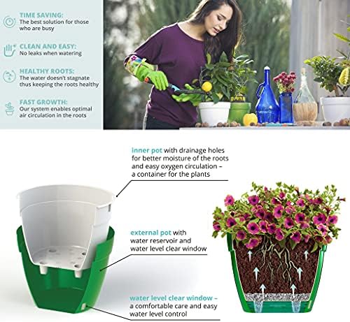Santino AST 7.9 Inch Self Watering Planter Black-Gold/Black - Set of 3 for Indoor Plants - Premium Quality Plastic Pot with Water Level Indicator for All House Herbs, African Violets and Dahlias - Image 6