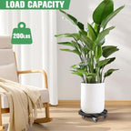 Plant Caddy with Wheels Heavy Duty, 12 Inch WPC Rolling Plant Stand - Image 2