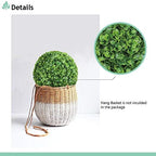 SunnyRoyal Topiary Ball Artificial Outdoor Boxwood Balls Topiary Lifelike Plants, Round Topiary for Indoor/Outdoor Decore, Lechguguilla 15 Inch, 6 Pieces - Image 4