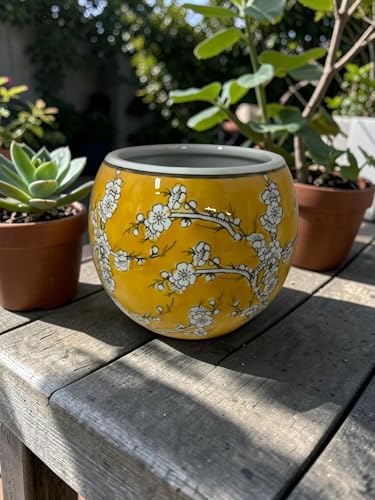 Ceramic Planter Pot with Watercolor Cherry Blossom Design, 7 Inch Diameter, Potbelly Shape, No Drain Hole, 3lbs (Golden Yellow) - Image 2