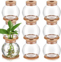 Baderke 9 Packs Propagation Vases for Plants Plastic Plant Propagation Station with Hole Lid and Cork Coasters Plant Growing in Water Hydroponic Home Office Table Decoration(Fish Bowl Style) by Baderke