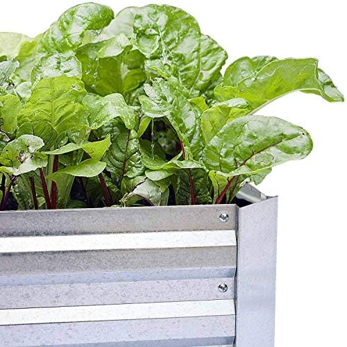 Galvanized Raised Garden Bed 6x3x1ft 2-Pack - Image 6