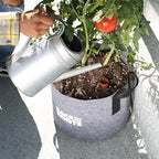 Back to the Roots Self-Watering Terracotta Olla Pot (Pack of 3), 700mL Provides 1 Week of Precision Watering - Image 6