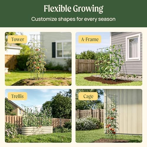 Vego Garden 4 Pack 11.5" Square Tomato Cage for Garden & Pots, Rust-Resistant Tomato Stakes Heavy Gauge Plant Cage Trellis Support for Climbing Vegetables Plants - Image 5
