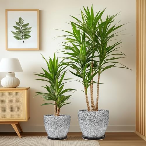 Ceramic Pots for Plants - 10+8+6 Inch Round Flower Pots with Drainage Holes and Saucers, Decorative Planters for Indoor Outdoor, Porch Decor, Housewarming Gifts, Set of 3, White-Black - Image 4