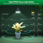 SANSI Dimmable Grow Light Bulb Full Spectrum, High PPFD 30W Grow Bulb - Image 3